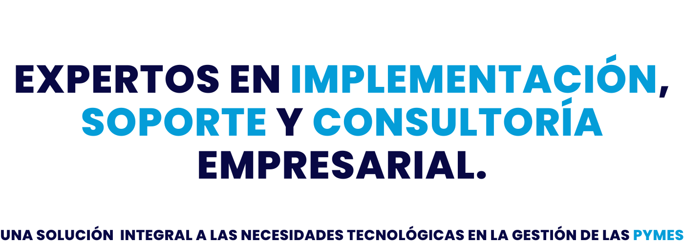 Implementando con éxito el Software de Gestión Empresarial (erp) (8)