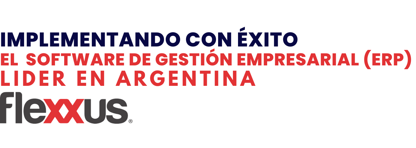 Implementando con éxito el Software de Gestión Empresarial (erp)